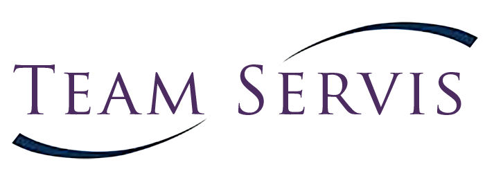 team-servis